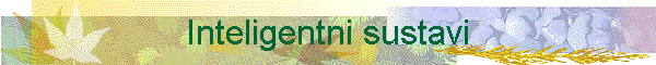 Inteligentni sustavi