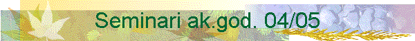 Seminari ak.god. 04/05