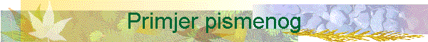 Primjer pismenog