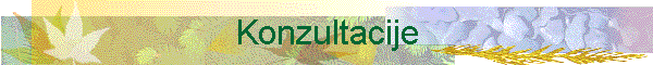 Konzultacije