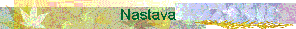 Nastava