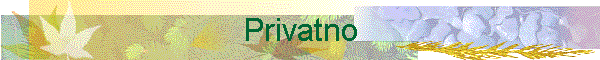 Privatno