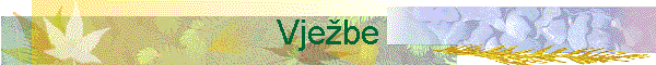 Vjebe